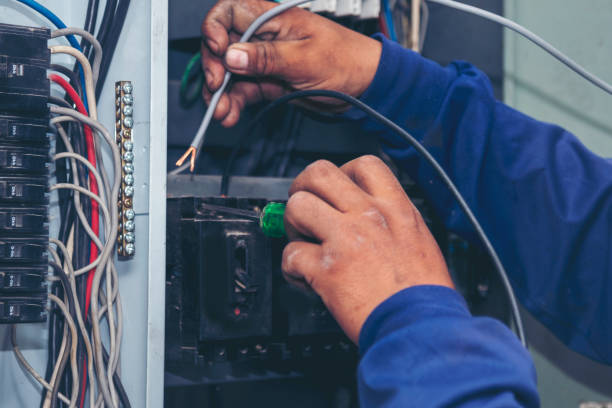 Best Electric Panel Repair  in Windsor, VA